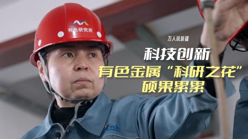 智能客服配置之道：揭秘参数背后的行业智慧**